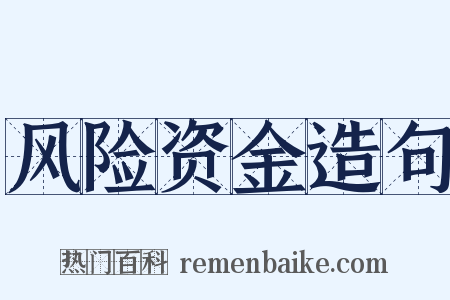 风险资金造句是什么意思的图片